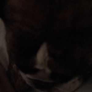 Meet your Posher, Paige